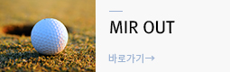 미르아웃